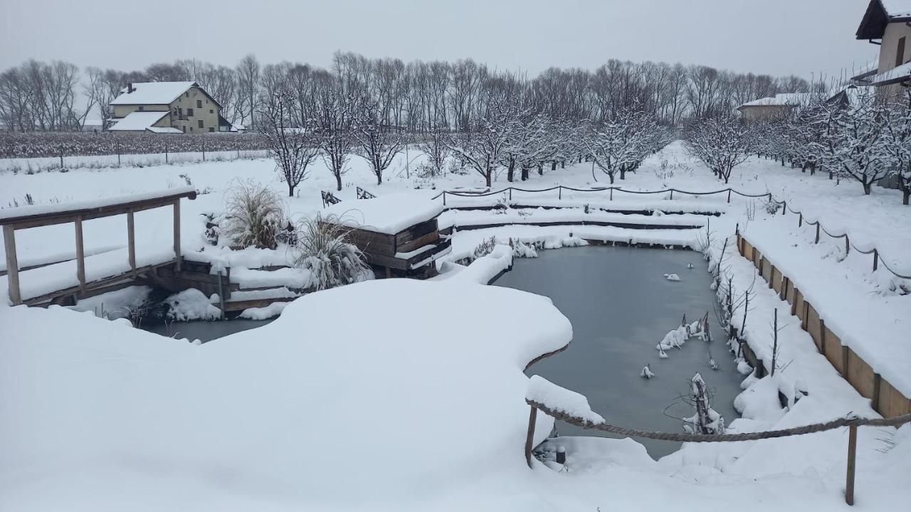 Casa Danei 호텔 브라쇼브 외부 사진