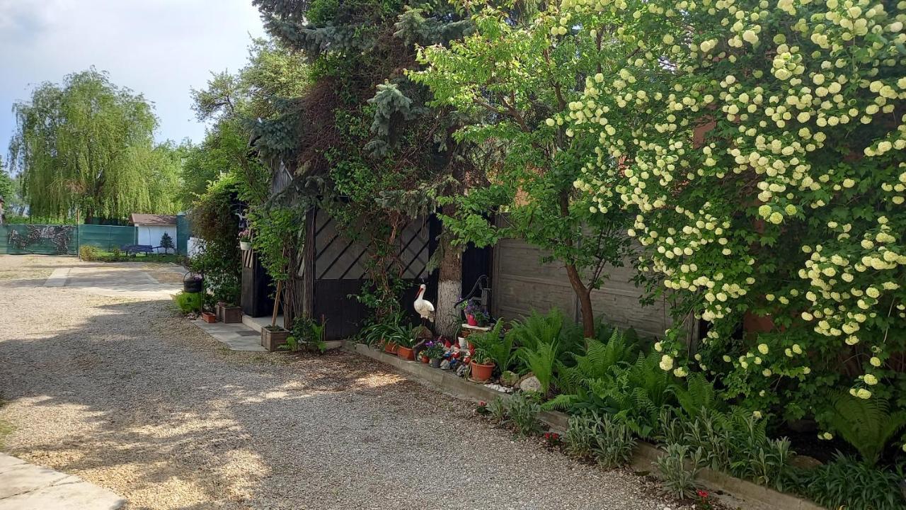 Casa Danei 호텔 브라쇼브 외부 사진