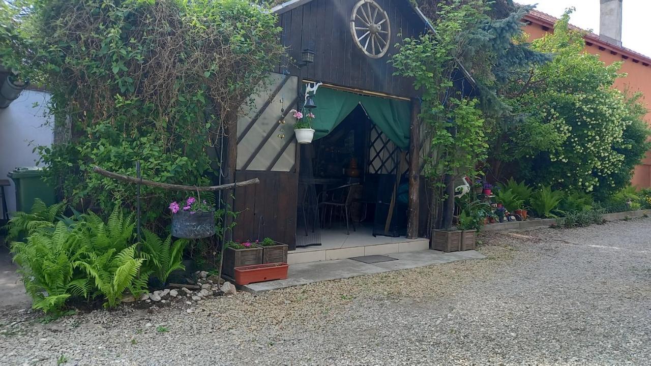 Casa Danei 호텔 브라쇼브 외부 사진